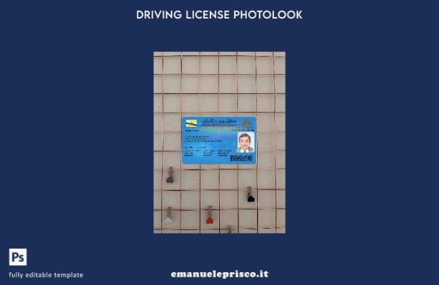 modello FRONTALE photolook della patente di guida del Brunei in stile verificato